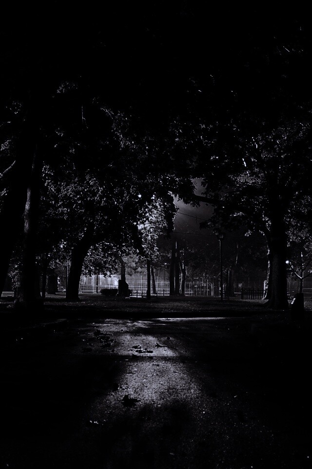 Ночной парк обои