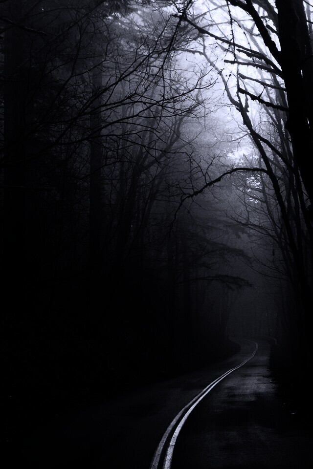 В туман обои