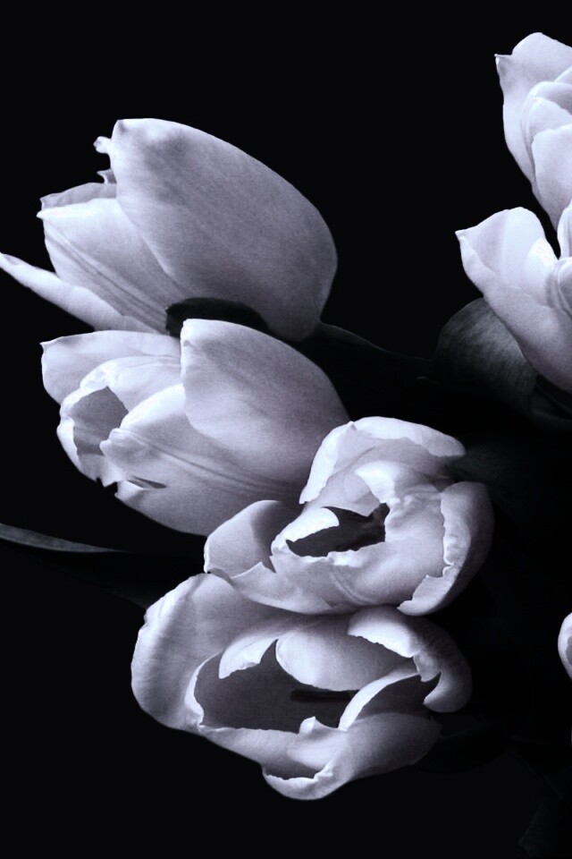 Розовый букет обои