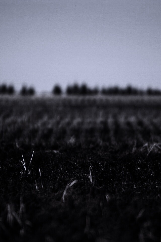 Поле перед вспашкой обои