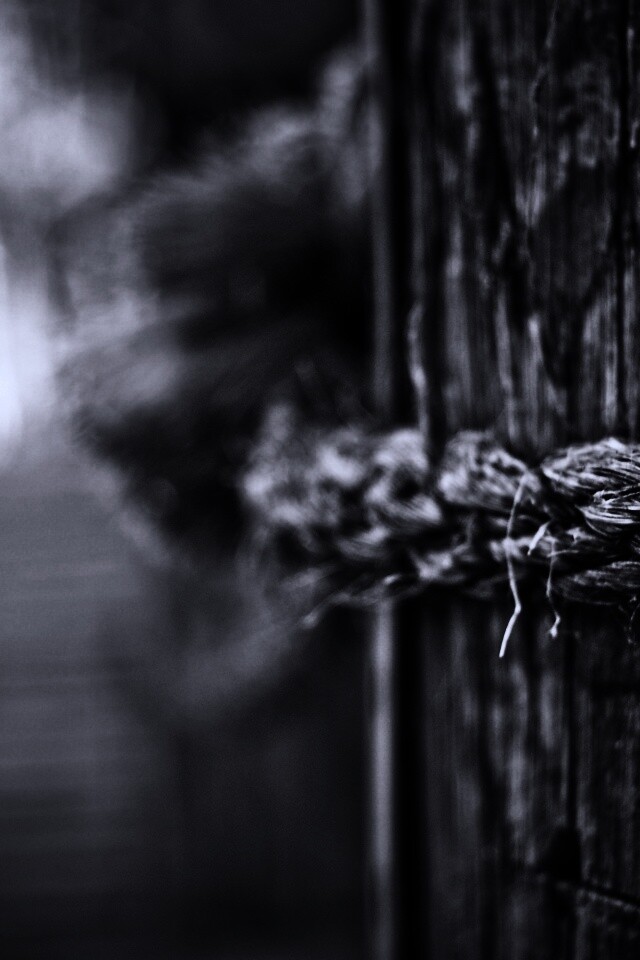 Веревка на деревянном столбе обои