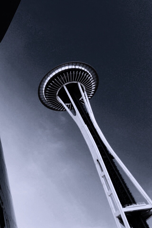 Space Needle Tower обои