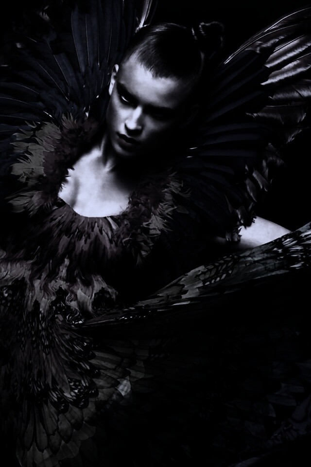 Костюм жар птицы обои