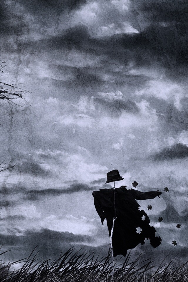 Забытое пугало обои