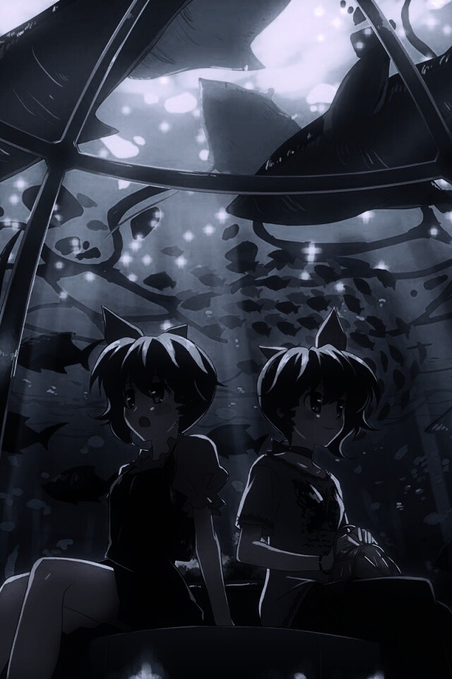 В океанариуме обои