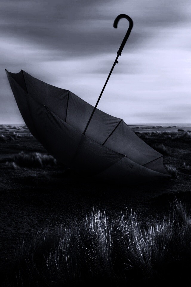 Брошенный зонт обои