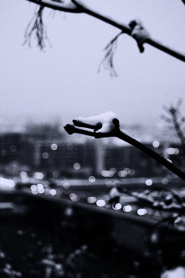 Зима в городе обои