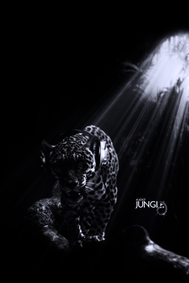 Ягуар в наушниках обои