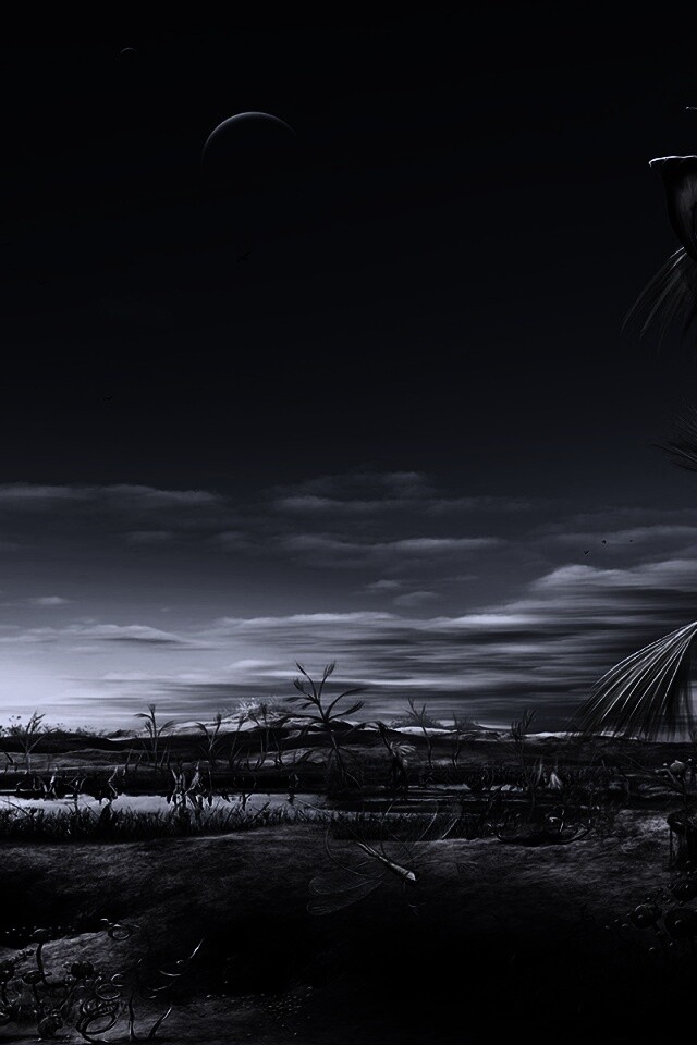 Флора и фауна другой планеты обои