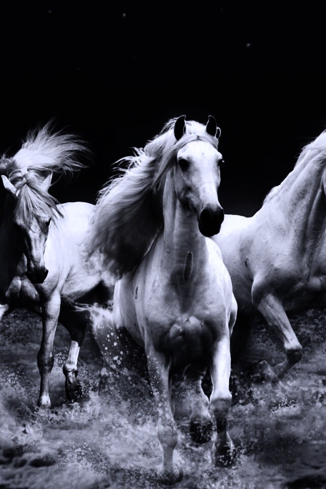 Тройка конец в море обои