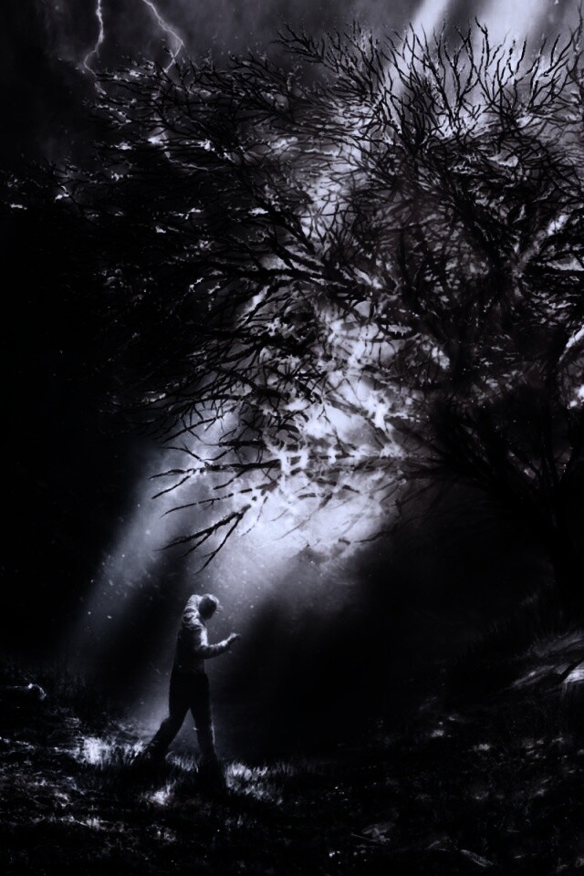 Горящее дерево обои