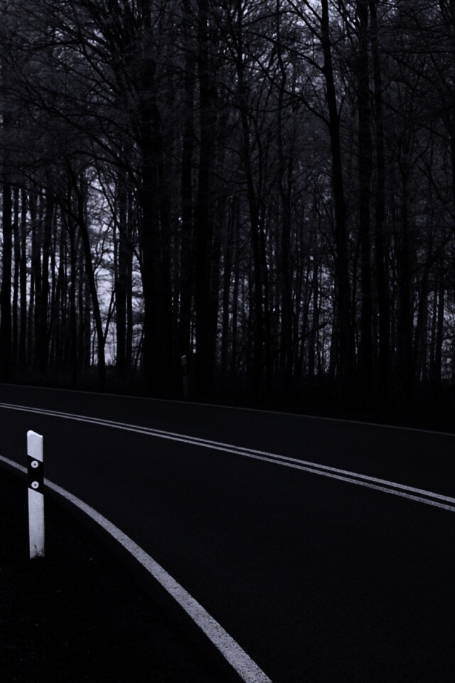 Дорога в осеннем лесу обои