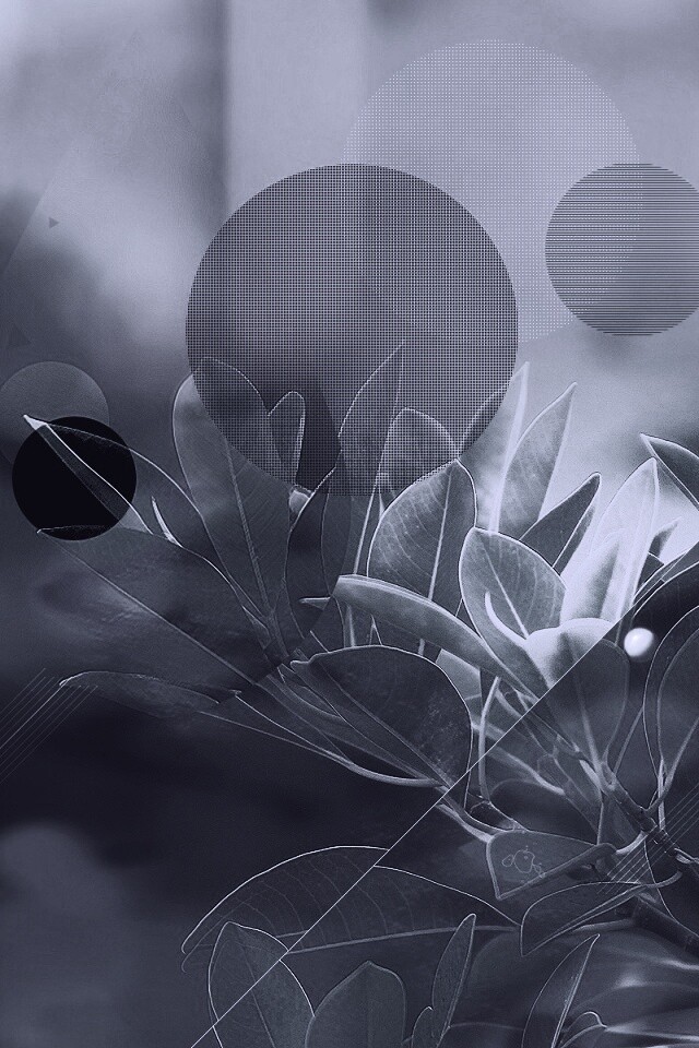 Синий фильтр с кргуами на фото листьев обои