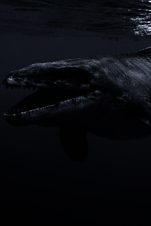 Морской динозавр обои