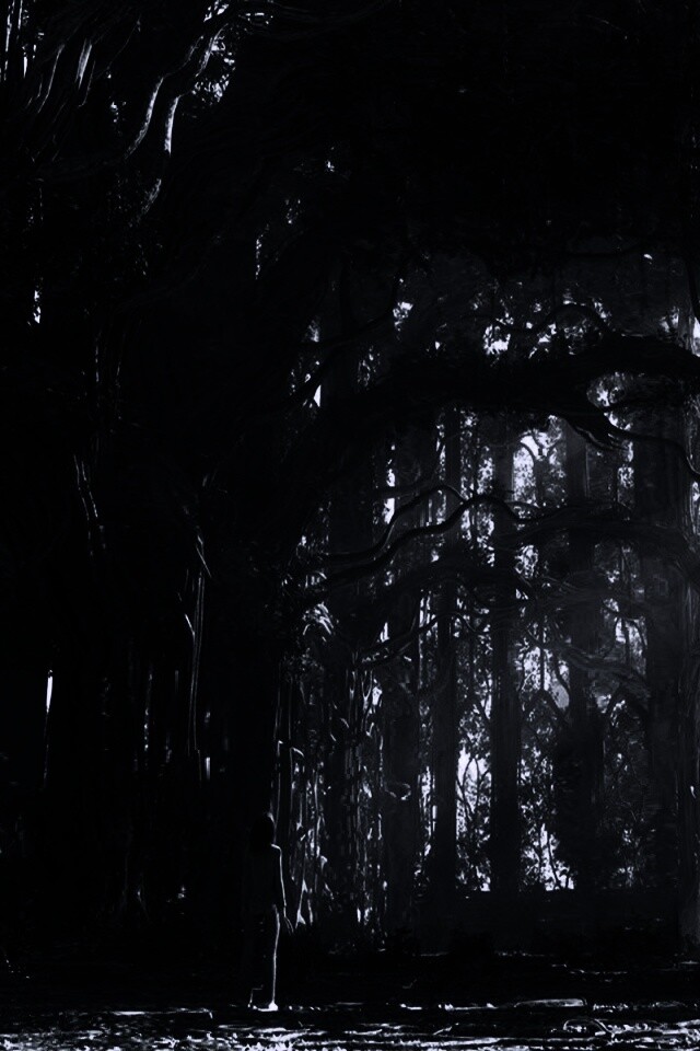 Одна в сумеречном лесу обои