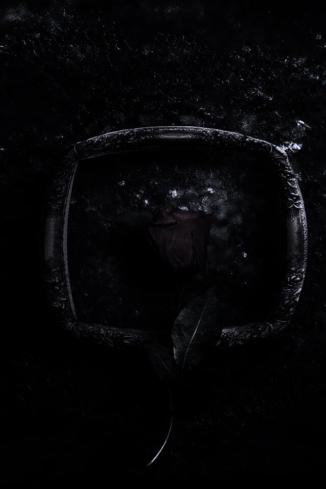 Роза на картинной раме обои