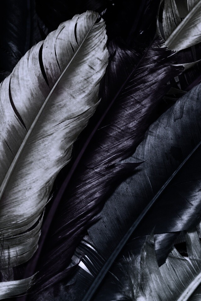 Разноцветные перья обои