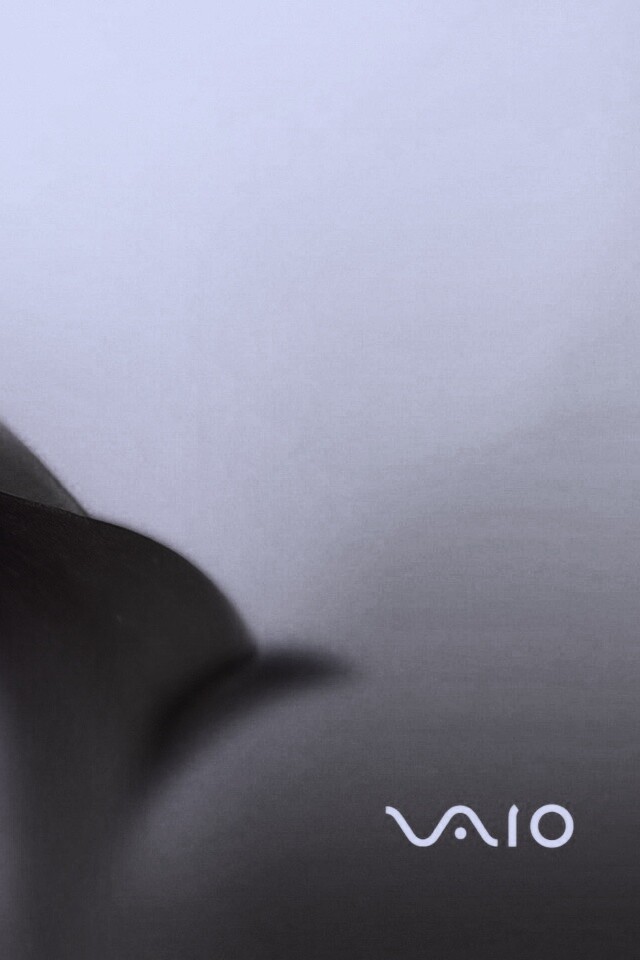 Цветок и логотип Vaio обои