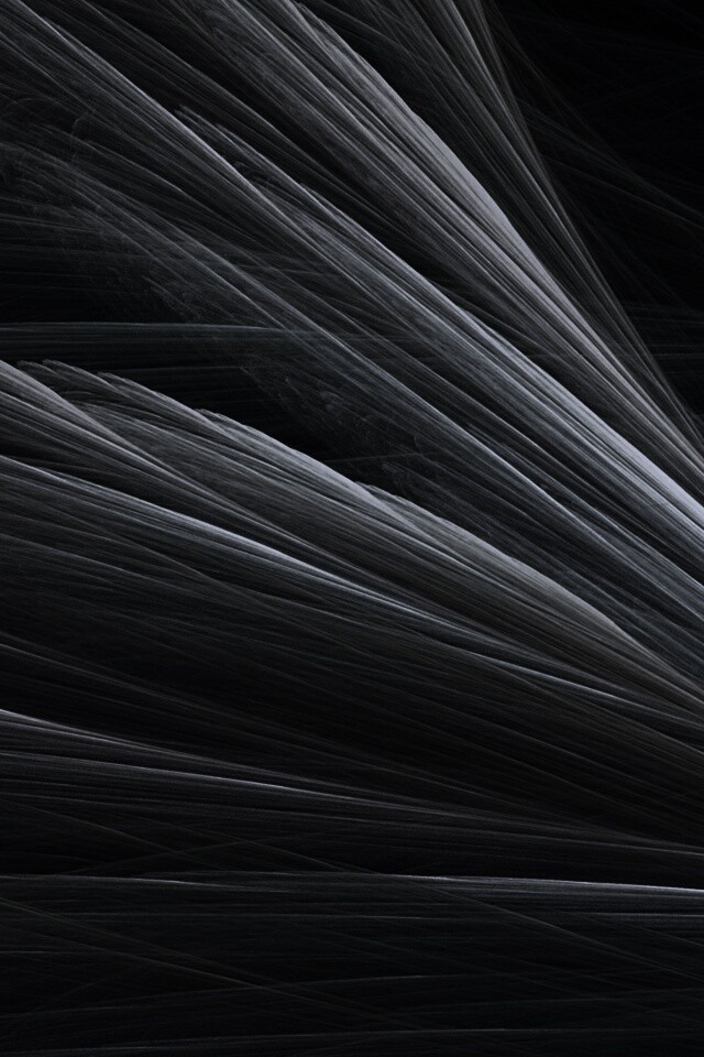 Прозрачные зеленоватые крылья обои