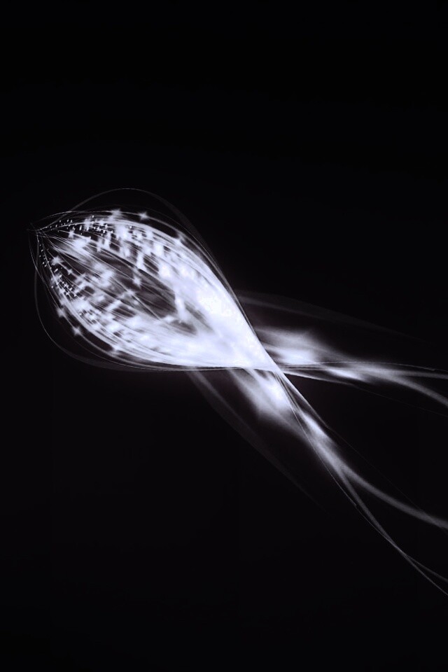 Сгусток красных линий обои