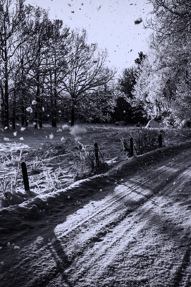 Снежная дорога залитая солнцем обои