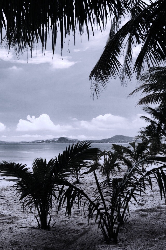 Настоящее лето обои