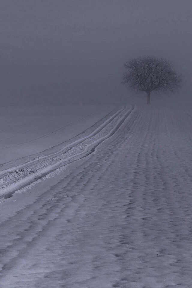 Заснеженное поле обои