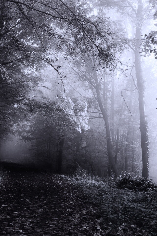 Осенний мистический пейзаж обои