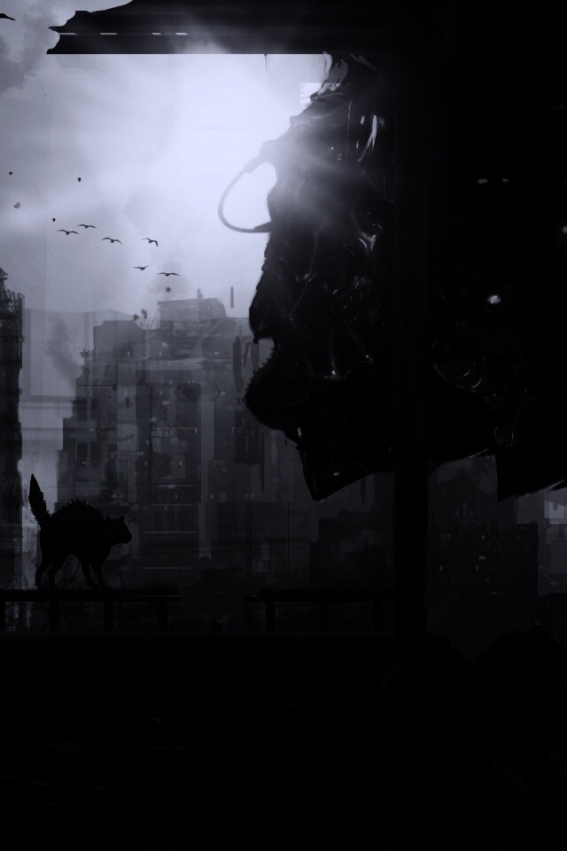 Кошкино удивление обои