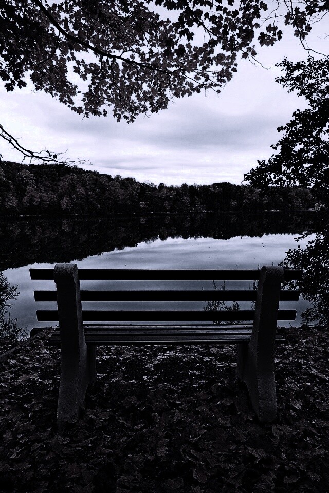 Вид на осеннее озеро обои