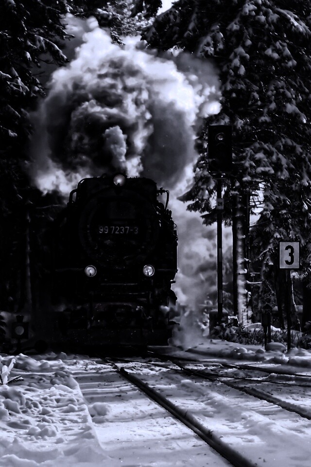Паровоз в димнем лесу обои