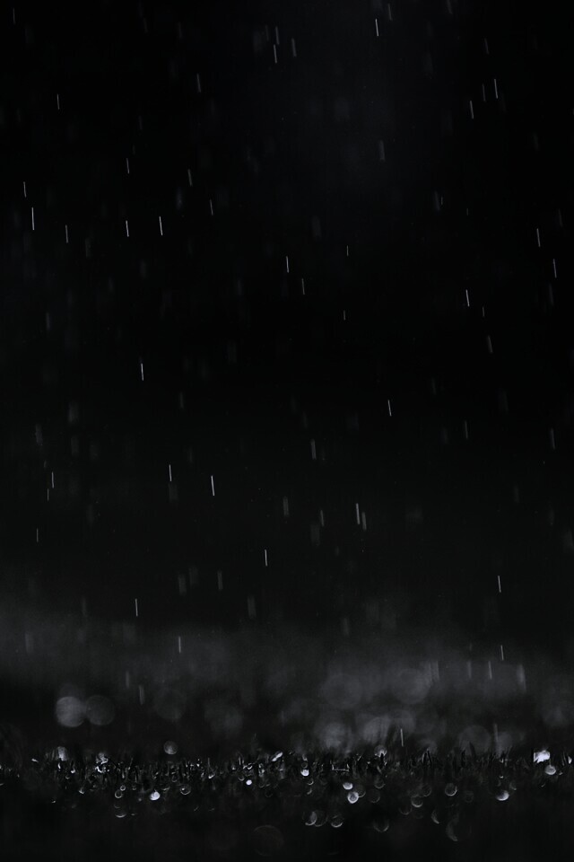 Трава под дождем обои