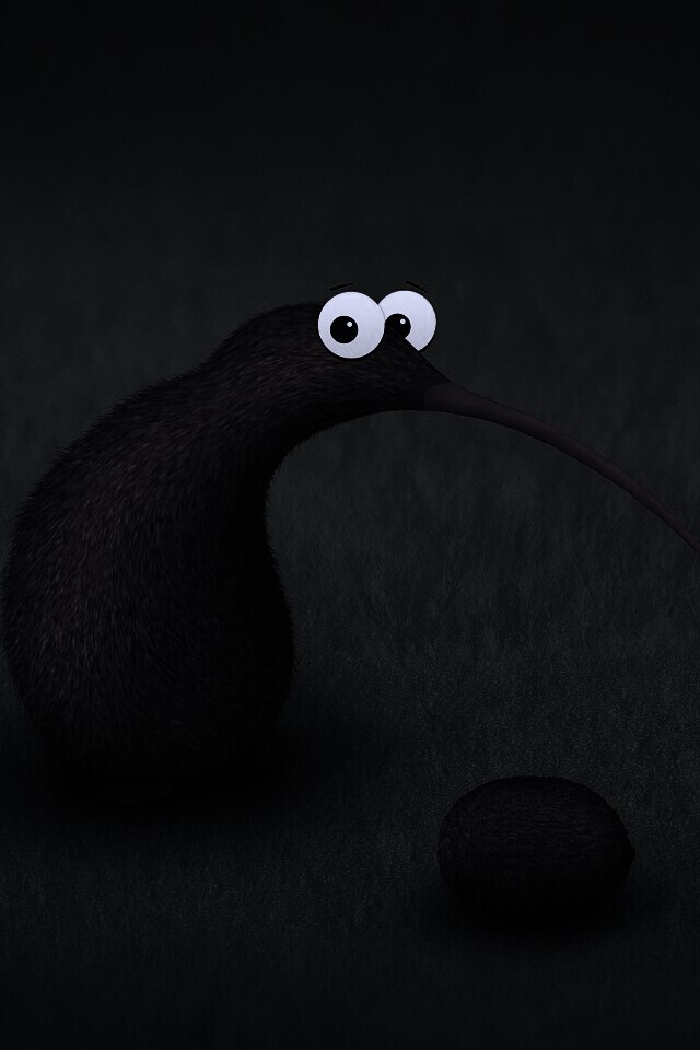 Киви и киви обои