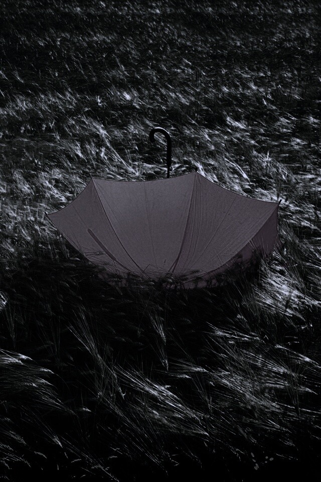 Зонт на траве обои