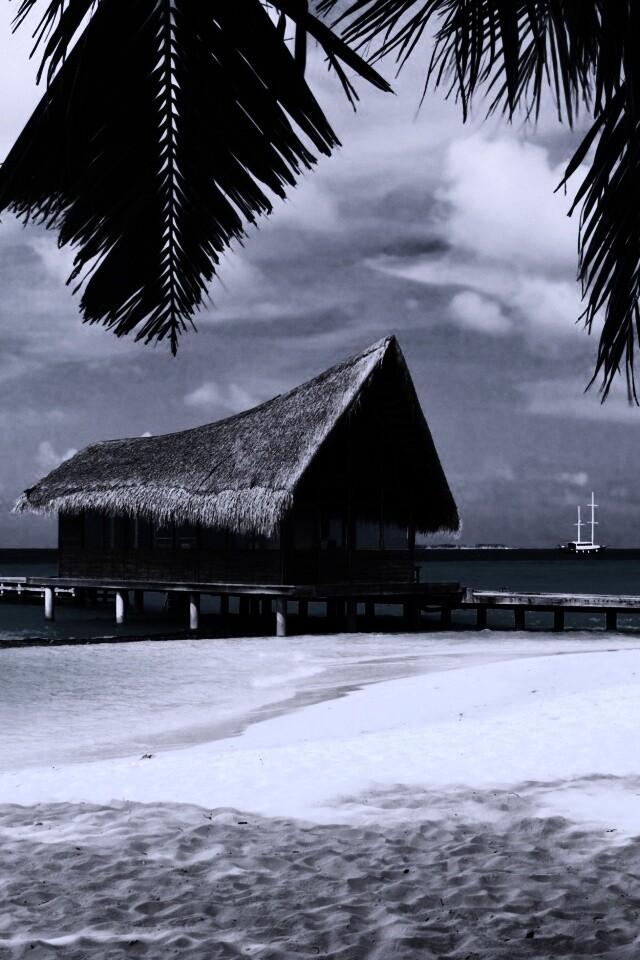 Бунгало обои