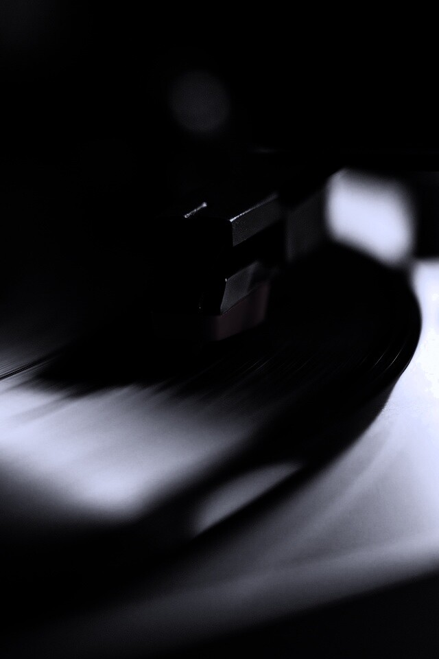 Пластинка обои