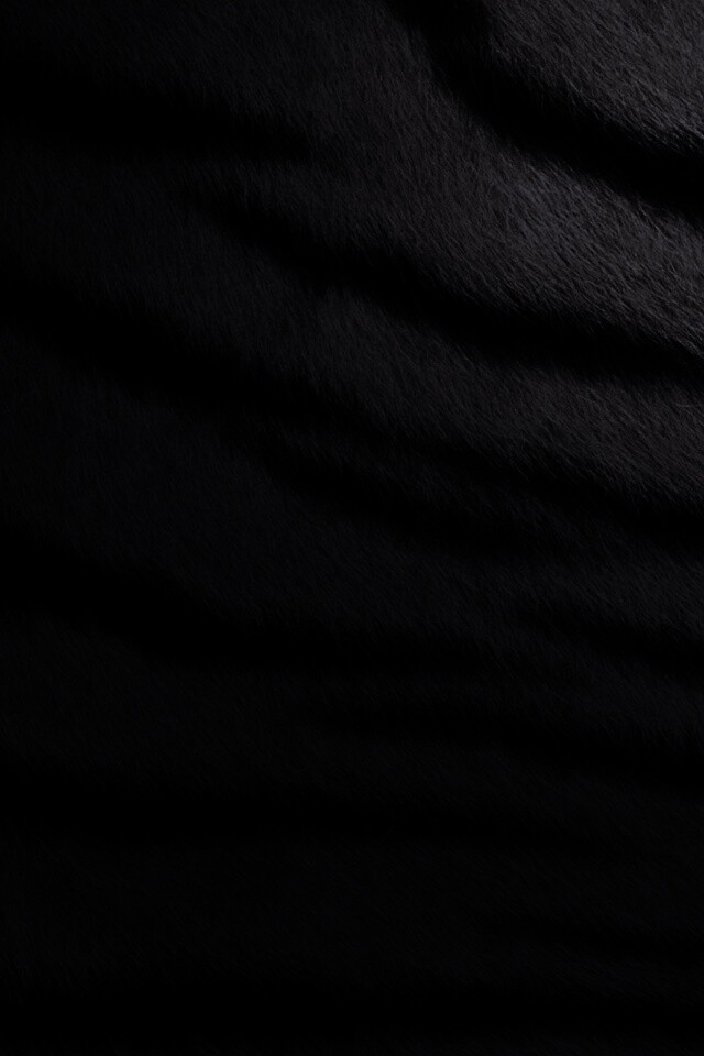 Шкура тигра обои