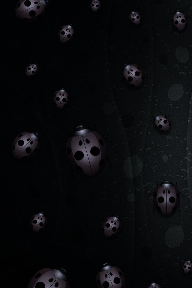 Божьи коровки обои