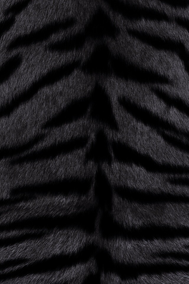 Тигриная шкура обои