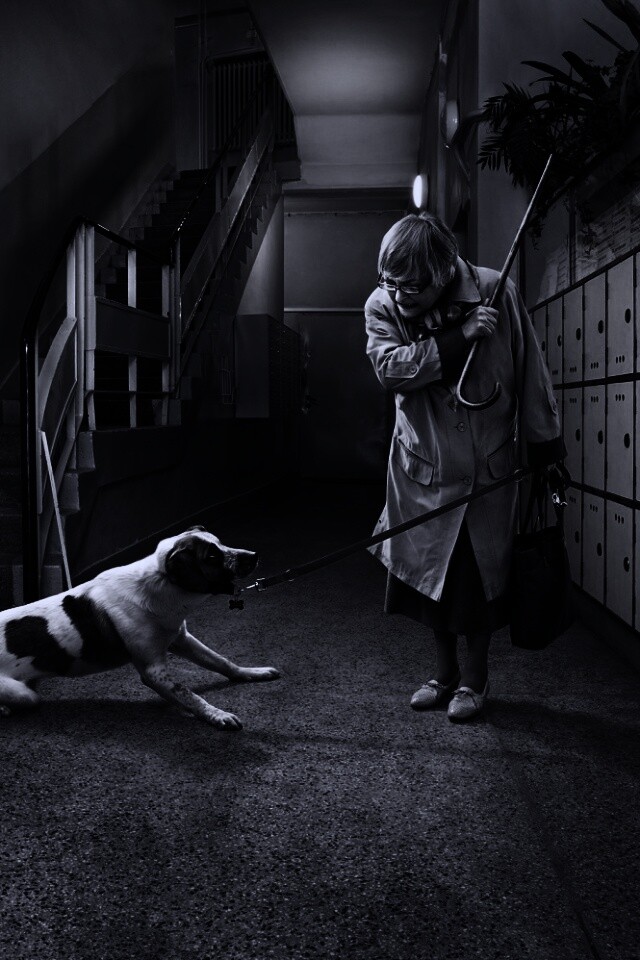 Непослушная собака обои