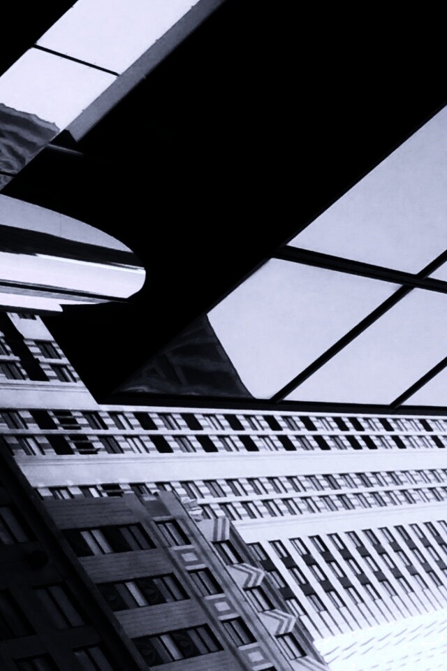 Взгляд вверх обои