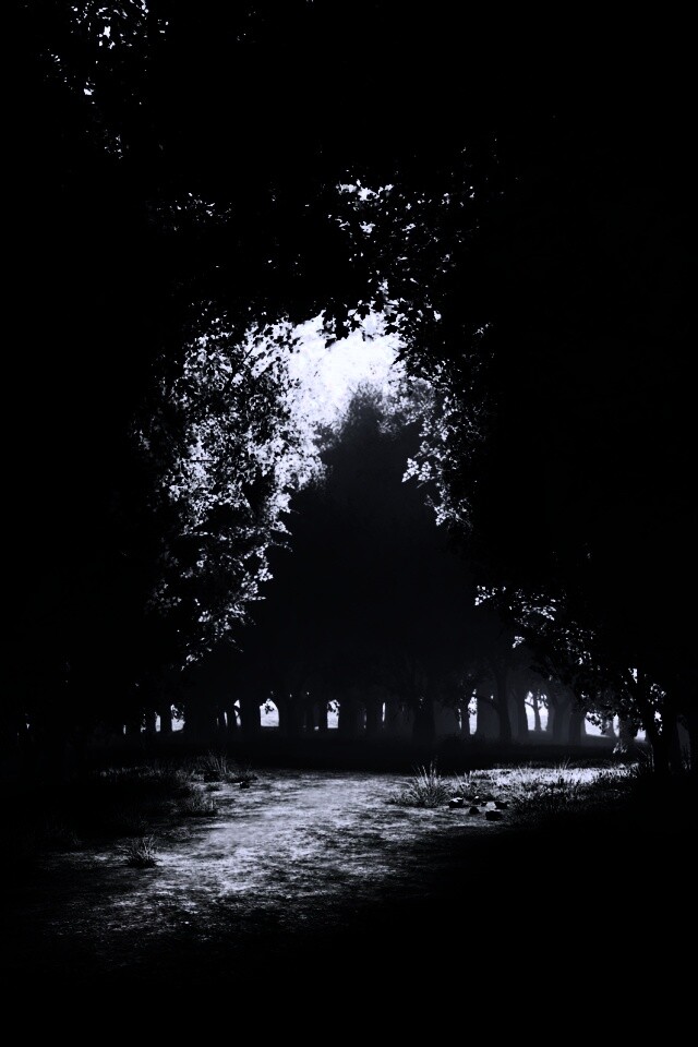 Сумерки в волшебном лесу обои