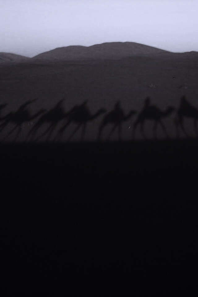 Караван обои