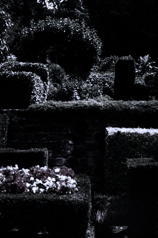 Декоративный сад обои