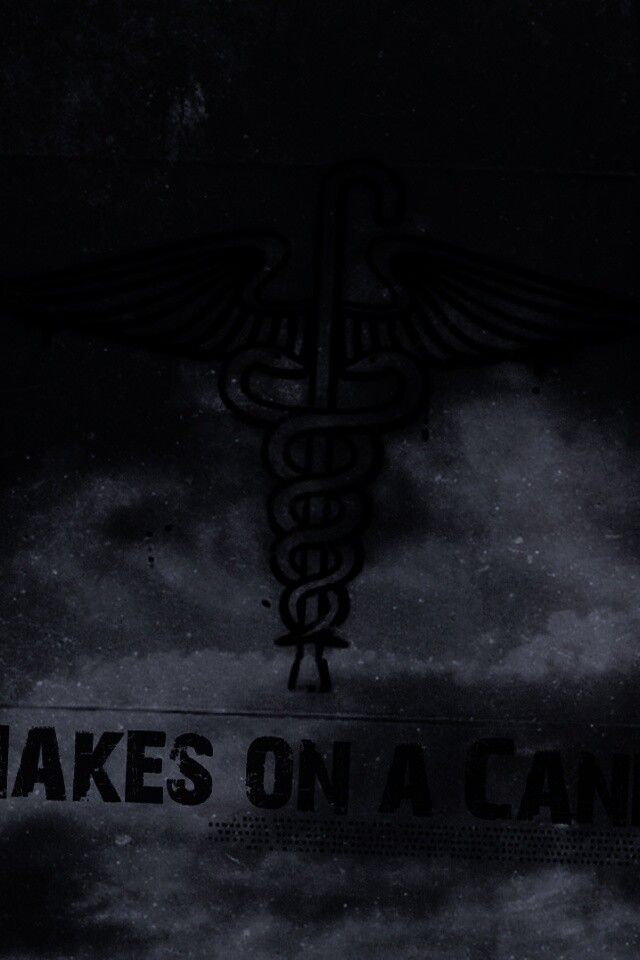 Змеи на трости обои