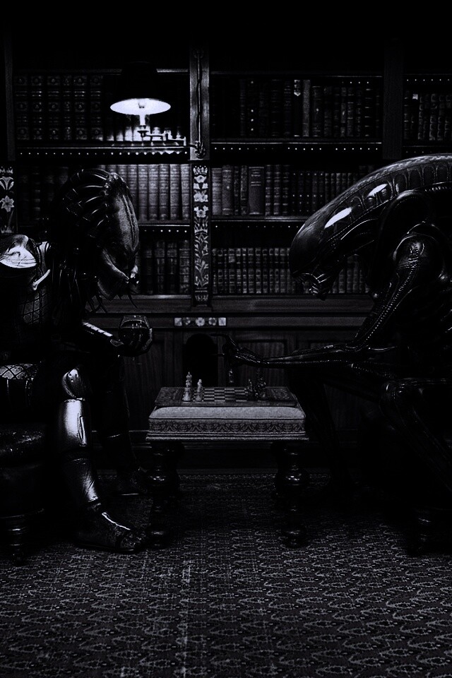 Чужой против хищника в шахматы обои