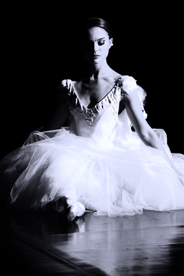 Черный лебедь обои