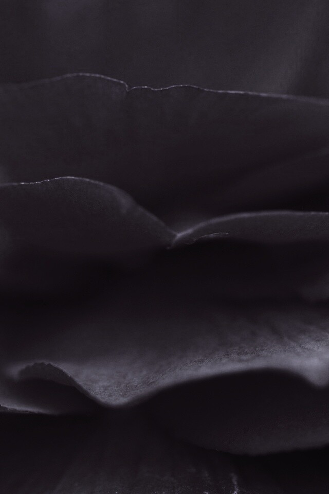 Лепестки красного цветка обои