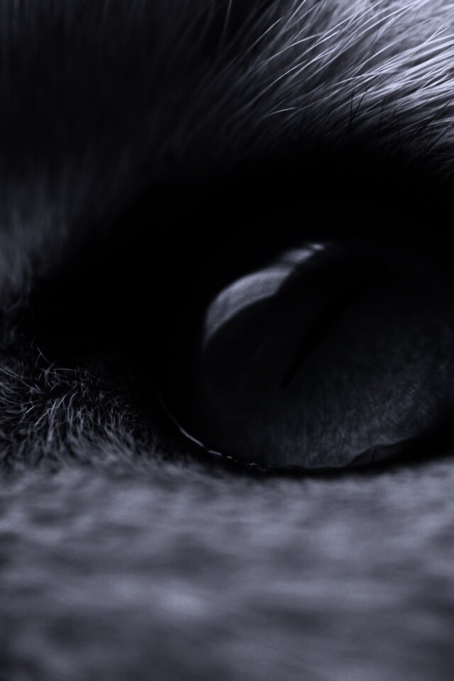 Кошачий глаз обои