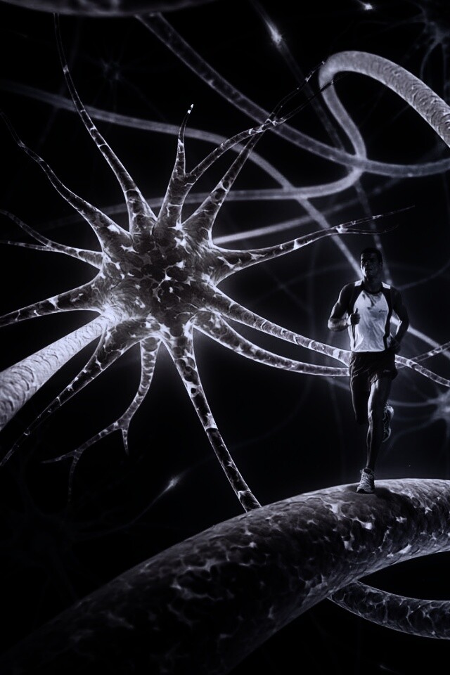 Бег мыслей обои